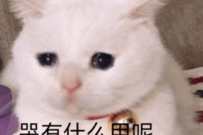 我咪咪在这呢表情包,萌态十足！