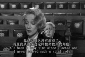 控方证人演员表,揭秘法庭风云，众星云集演绎正义之战
