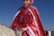 昭君出塞电视剧演员表