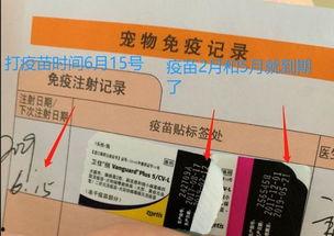 娱乐吃瓜酱宠物疫苗本